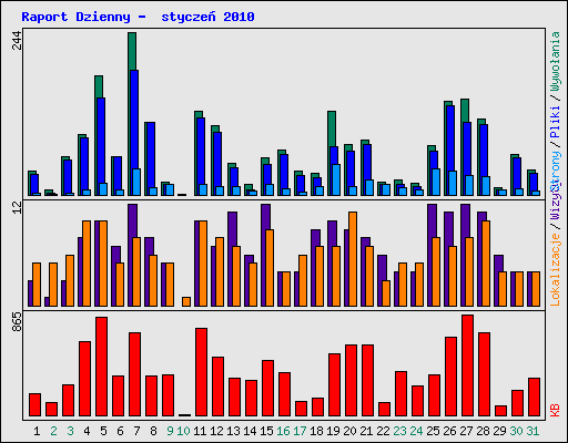 Raport Dzienny -  stycze 2010