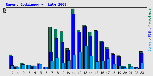 Raport Godzinowy -  luty 2009