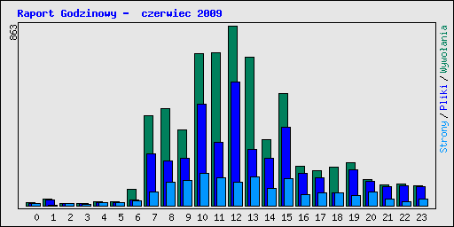 Raport Godzinowy -  czerwiec 2009