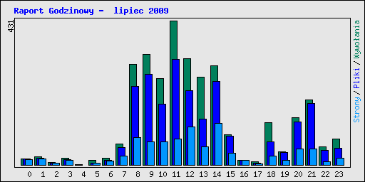 Raport Godzinowy -  lipiec 2009