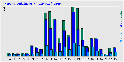 Raport Godzinowy -  sierpie 2009