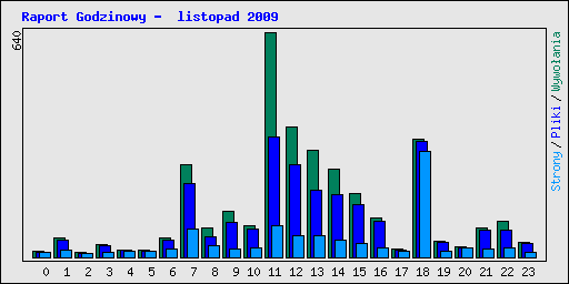 Raport Godzinowy -  listopad 2009