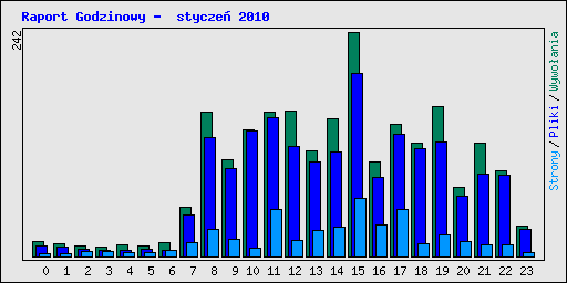 Raport Godzinowy -  stycze 2010