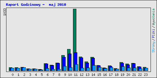 Raport Godzinowy -  maj 2010