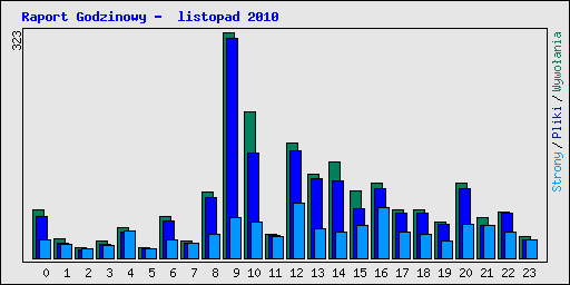 Raport Godzinowy -  listopad 2010